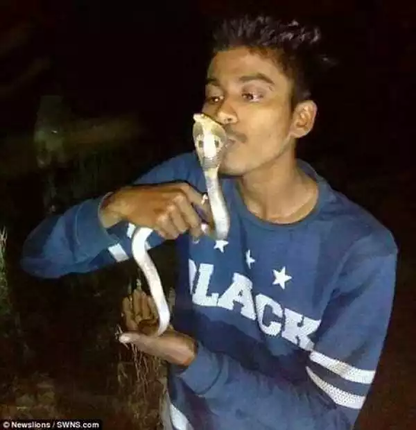 Kiss of Death: Teen Boy Dies in Agony After Trying to Kiss a Cobra in Photo Stunt That Went Tragically Wrong